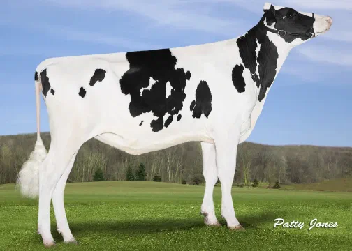Vaca Holstein Futurecrest McCutchen Leight